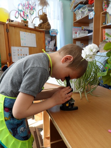 НОД "Комнатные растения"3